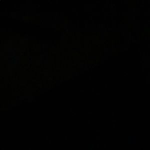 Meet your Posher, Colin